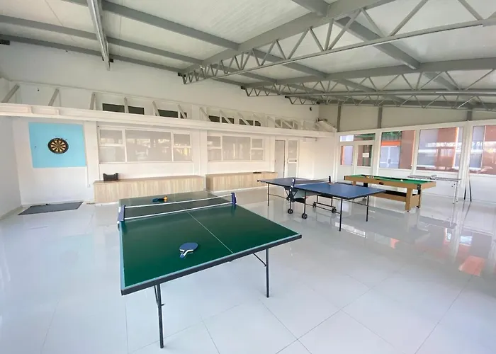 Tisza Sport